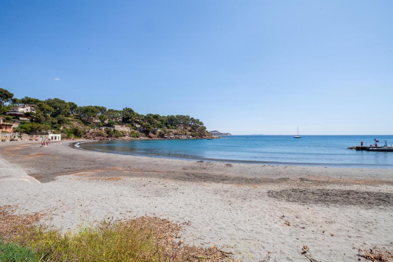 T2 - La Seyne Sur Mer - Fabregas Exterior photo